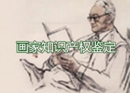 画家知识产权鉴定